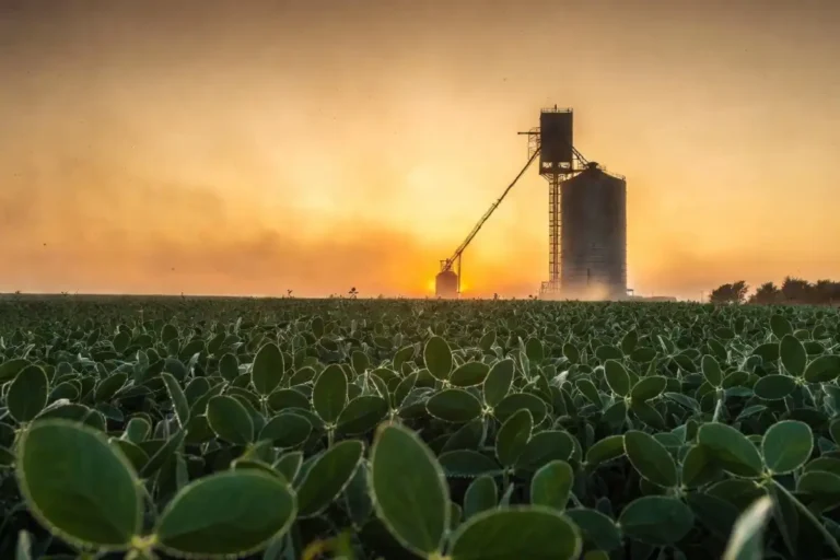 China $17 billion ag deal boosts U.S. soybean and corn markets in 2026